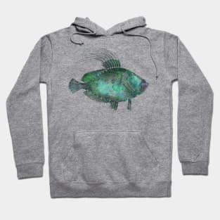 Fish Hoodie